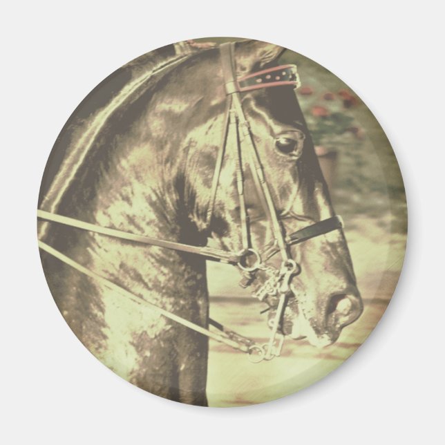 Aimant Vintage américain Saddlebred Faux (Devant)