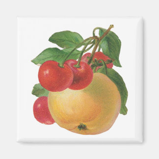 Aimant vintage aux fruits