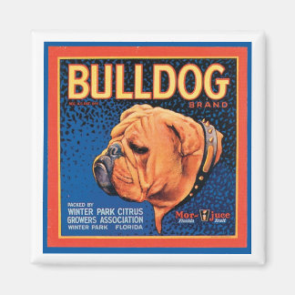 Aimant Vintage Bulldog Brand Crate Étiquette