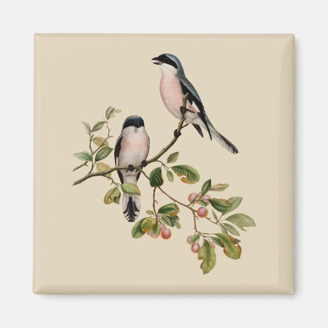 Aimant Vintage de beaux oiseaux sur le beige (Devant)