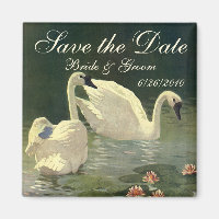 Vintage Enregistrer la date ! Beaux Swans Natation