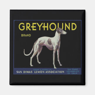 Aimant Vintage Greyhound Lemon Étiquette vers 1920