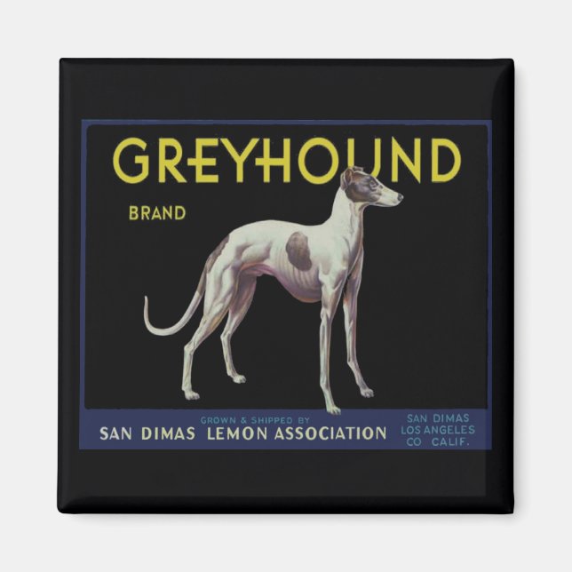 Aimant Vintage Greyhound Lemon Étiquette vers 1920 (Devant)