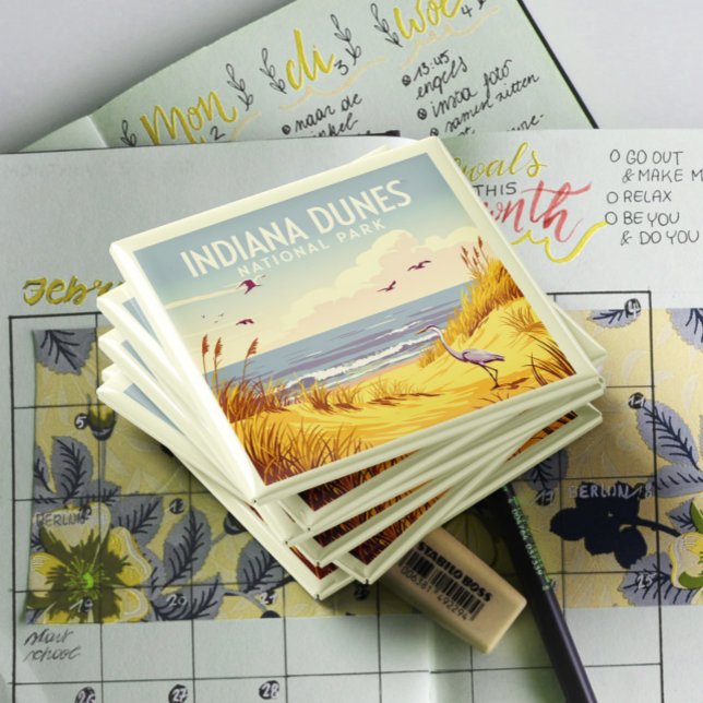 Aimant Vintage Indiana Dunes National Park  (Créateur téléchargé)