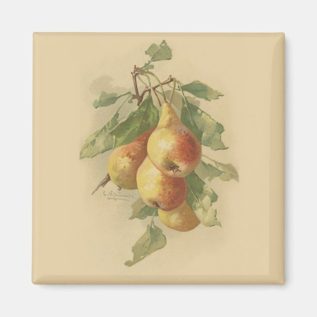 Aimant Vintage pears (Devant)