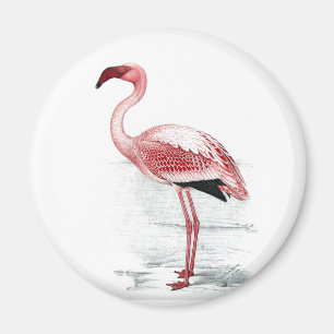 Aimant Vintage Petit Flamant rose Claude Gibney Finch Dav