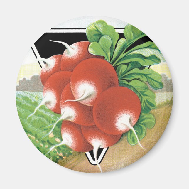 Aimant Vintage Seed Packet Label Art, Scarlet Radishes (Devant)