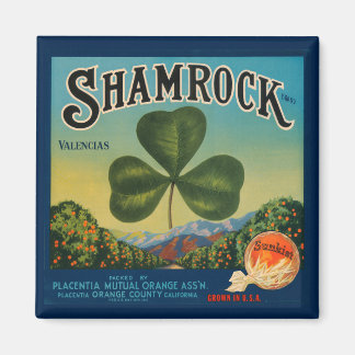 Aimant Vintage Shamrock orange magnétique