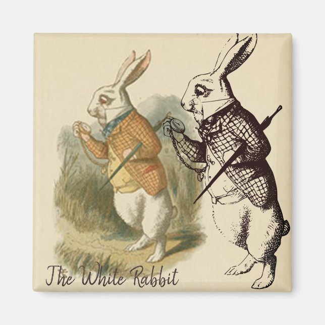 Aimant Vintage White Rabbit Illustration (Devant)