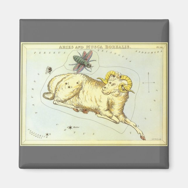 Aimant Vintage Zodiac, Astrology Aries Ram Constellation (Devant)