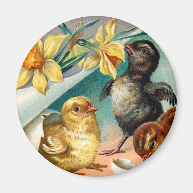 Aimant Vintages poussins aux fleurs jaunes Salutation de  (Devant)