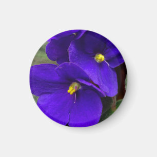 Aimant violet africain