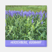 Violet Bluebell
