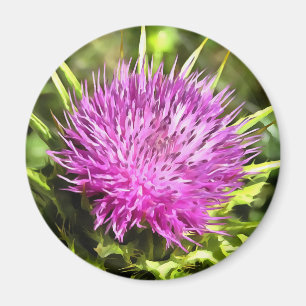 Aimant Violet chardon Fleur sauvage Floral Art
