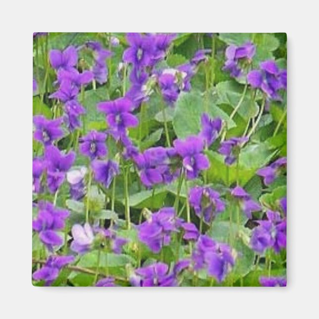 Aimant Violets en bois du Wisconsin - Customisés (Devant)