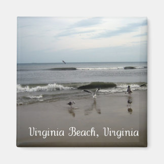 Aimant Virginia Beach, Virginia