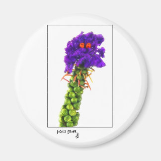 Aimant visage de brosell