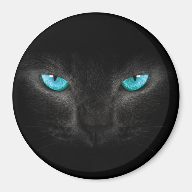 Aimant Visage de chat noir aux yeux Turquoise (Devant)