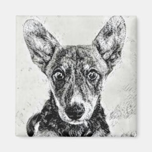 Aimant Visage de Chien Mignon