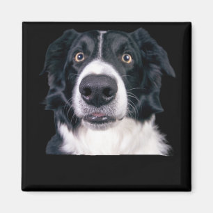 Aimant Visage de Chien Noir et Blanc