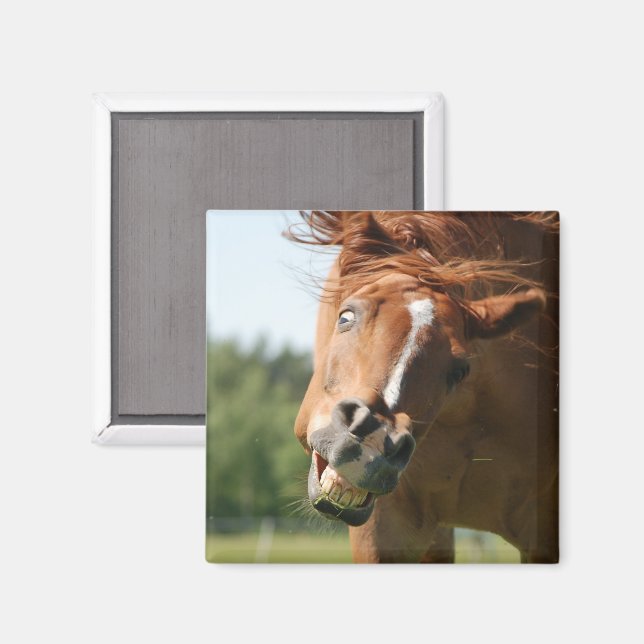 Aimant Visage drôle de cheval avec lèvres courbées, oeil  (Recto/Verso)
