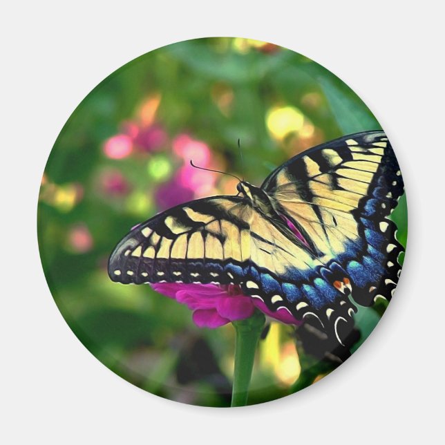 Aimant Visiteur d'été (Devant)