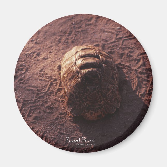 Aimant Vitesse (Devant)