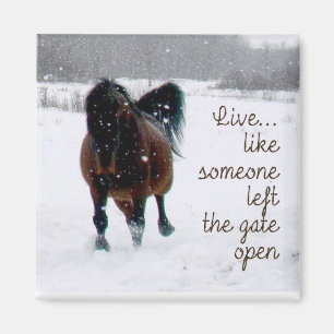 Aimant Vivez la vie !