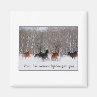 Aimant Vivez la vie...Comme si quelqu'un avait laissé la