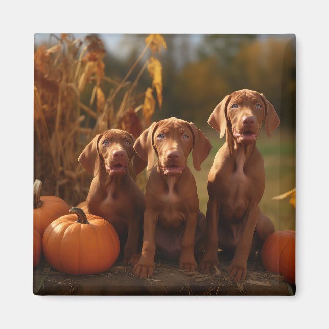 Aimant Vizsla Chiot Automne Citrouille délice (Devant)