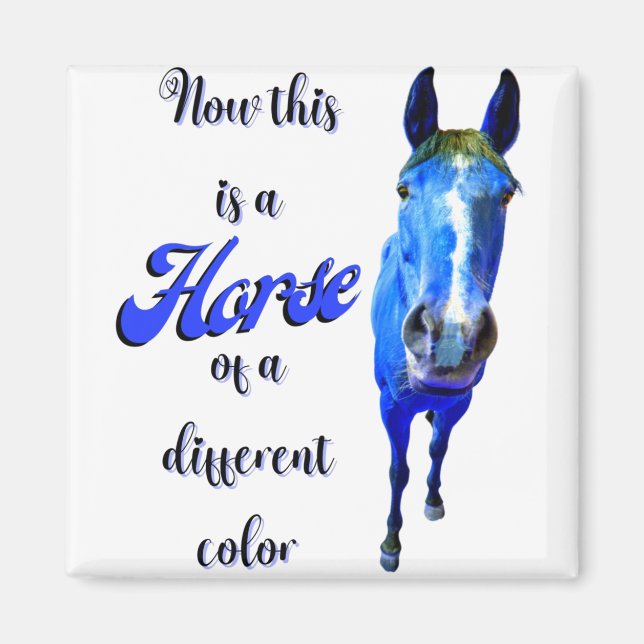 Aimant Voici un cheval d'une couleur différente en bleu (Devant)