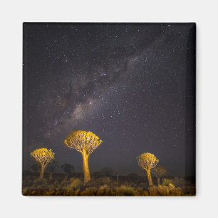 Aimant Voie lactée Quiver Tree Keetmanshoop Namibie