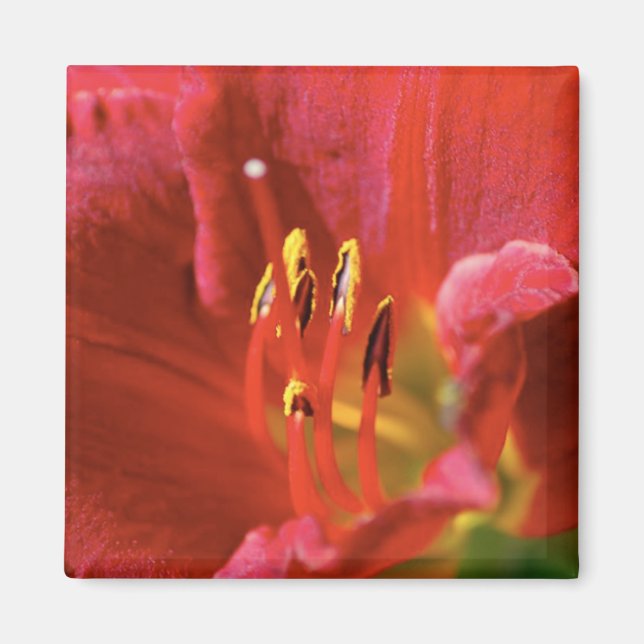 Aimant Voir rouge (Devant)