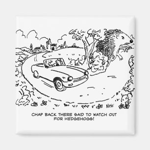 Aimant Voiture de sport en campagne avec Hérisson