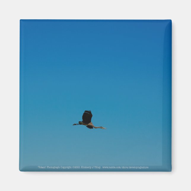 Aimant Volant (Devant)