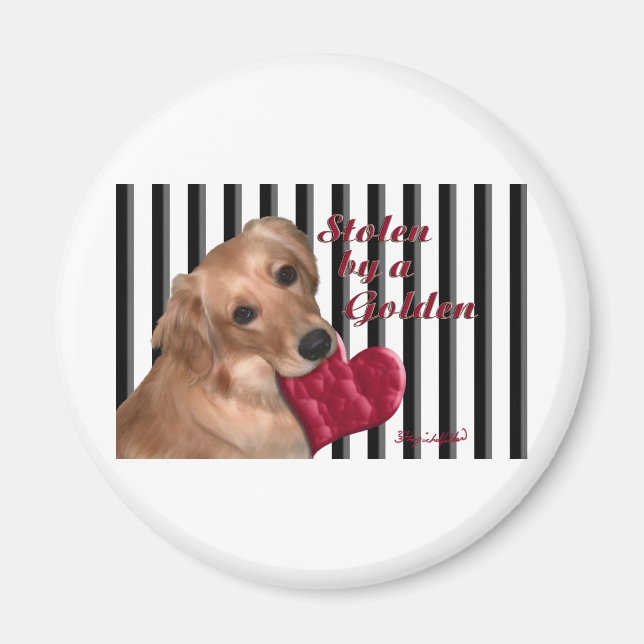 Aimant Volé par un or (Devant)