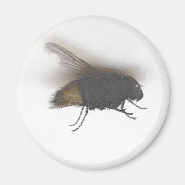 Aimant voler (Devant)