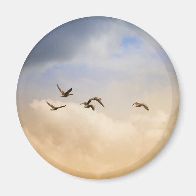 Aimant Vols d'oiseaux (Devant)