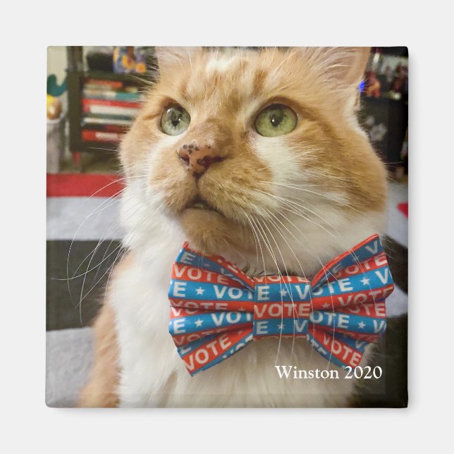 Aimant Vote Winston (Devant)