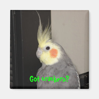 Aimant Vous avez des craquelins ?