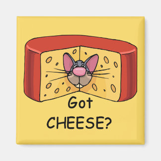 Aimant Vous avez du fromage ? de l'aimant ?