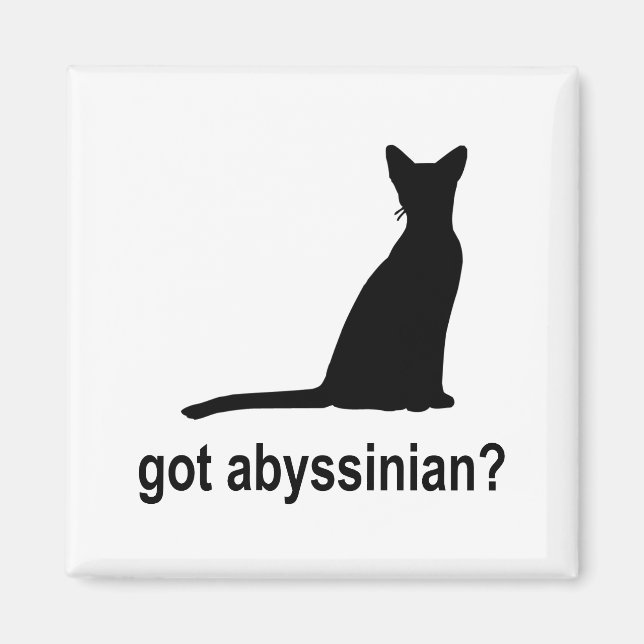 Aimant Vous avez un Abyssinien ? (Devant)
