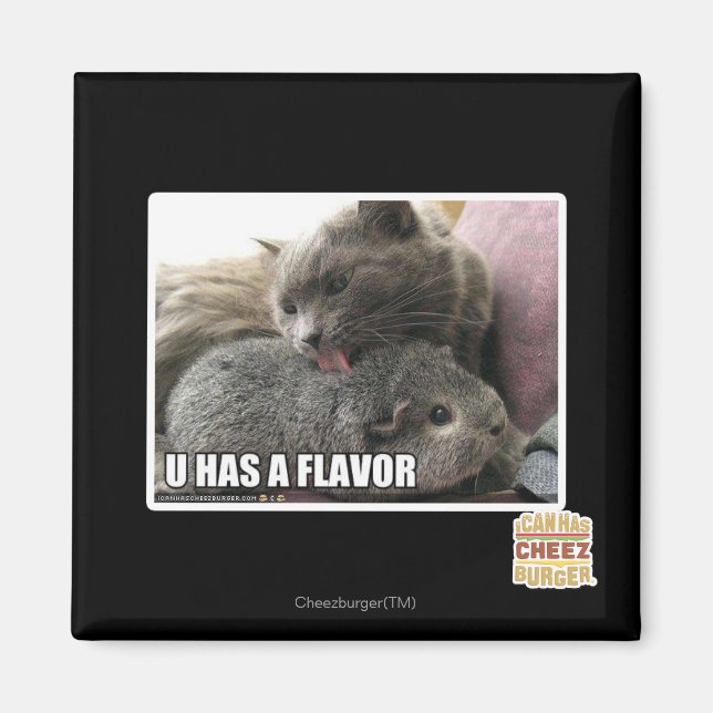 AIMANT VOUS AVEZ UNE SAVEUR (Devant)