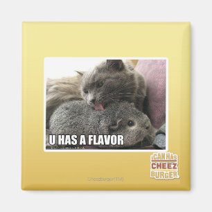 AIMANT VOUS AVEZ UNE SAVEUR