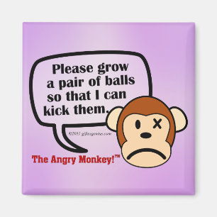 Aimant Vous devez élever quelques boules