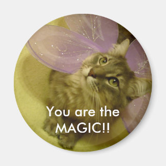 Aimant Vous êtes l'aimant MAGIC ! !