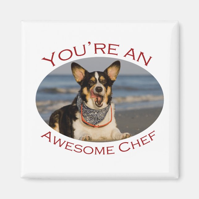 Aimant Vous êtes un chef génial (Devant)