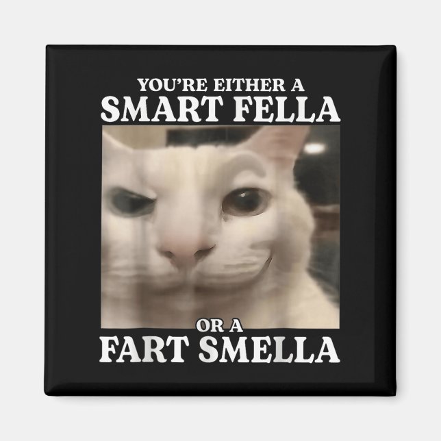 Aimant Vous êtes un Fella intelligent ou un Fart Smella C (Devant)