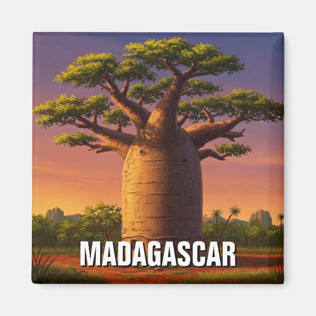 Aimant Voyage de l'arbre du baobab à Madagascar (Devant)