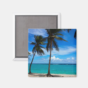 Aimant Voyage en famille Plage vacances Guadeloupe Caraïb